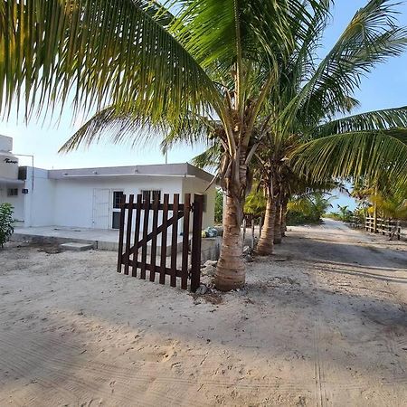 Casa Perla Marina, Pequena Casa Frente A La Playa. Daire El Cuyo Dış mekan fotoğraf